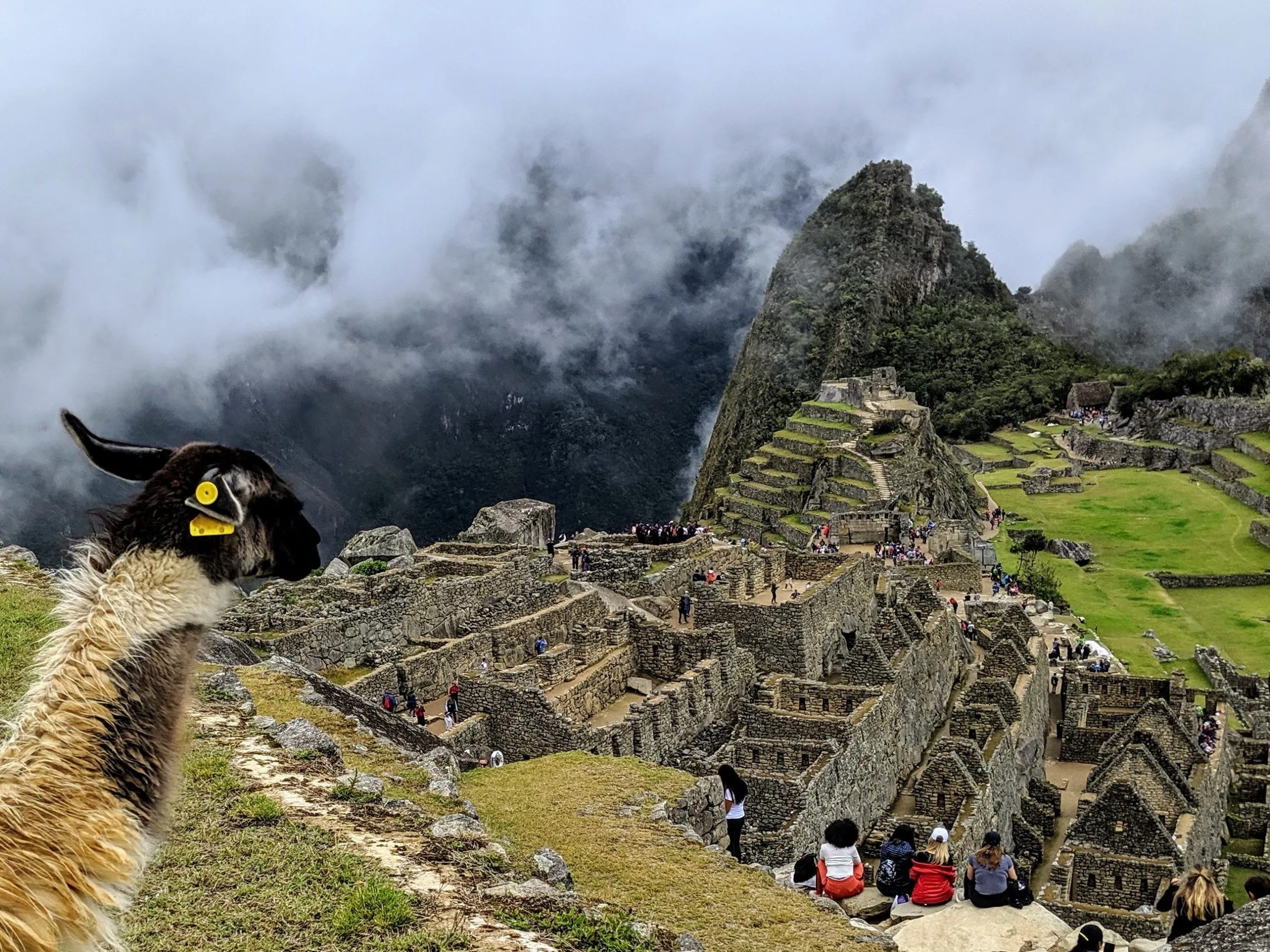 Machu Picchu