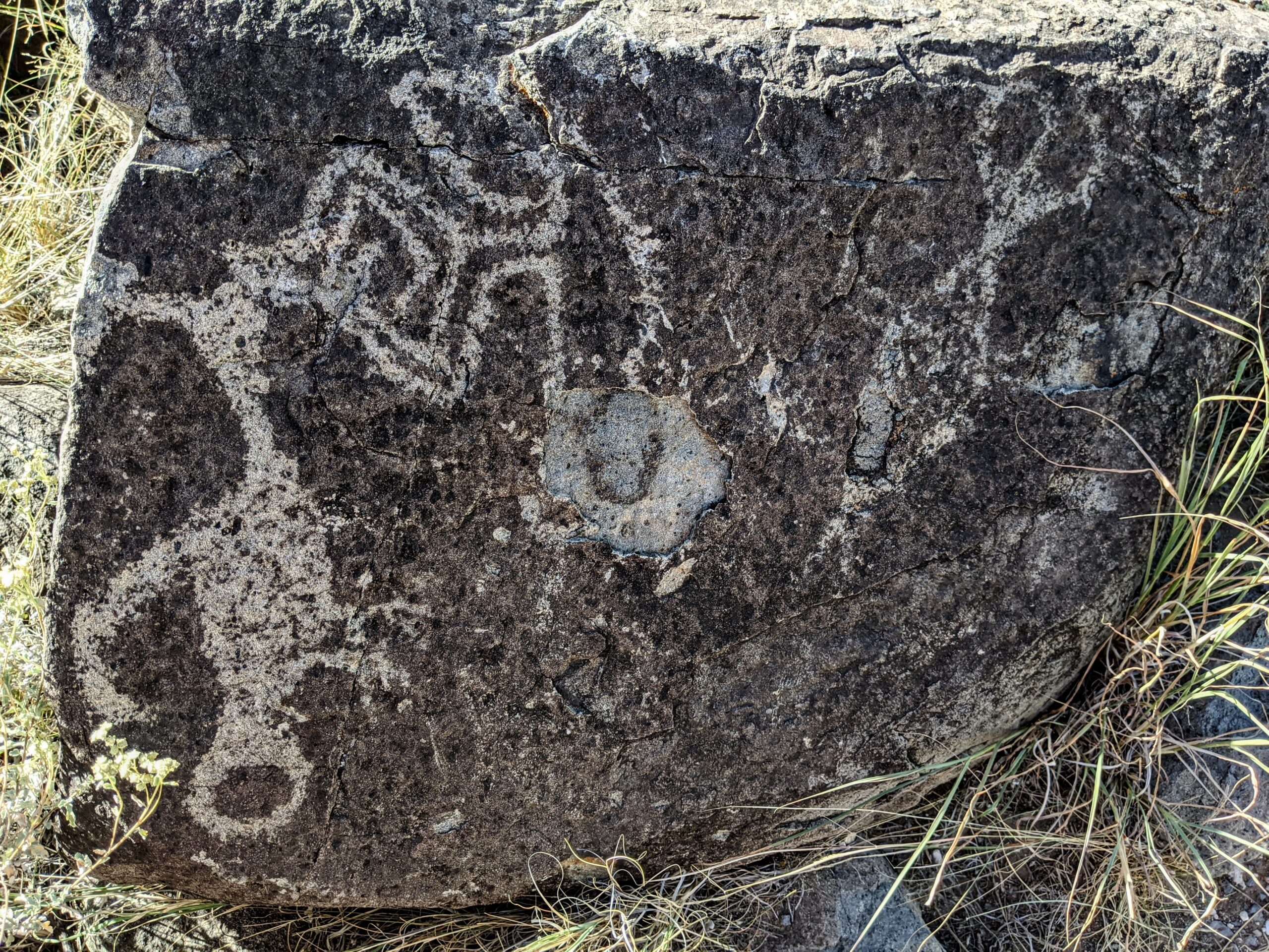 Three Rivers Petroglyph Site